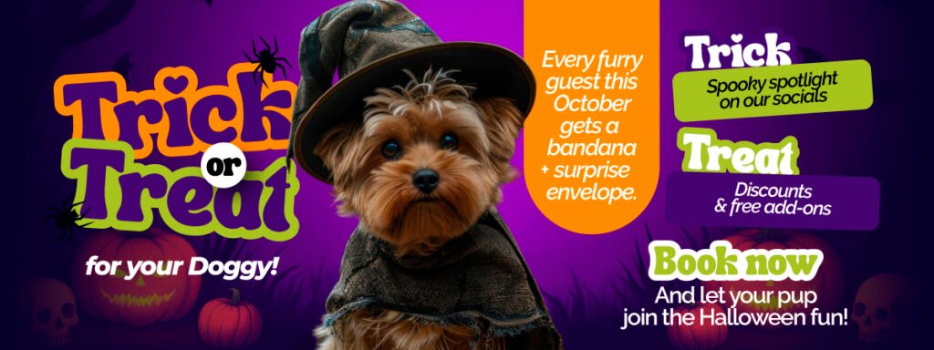 Hallowen pet grooming miami florida